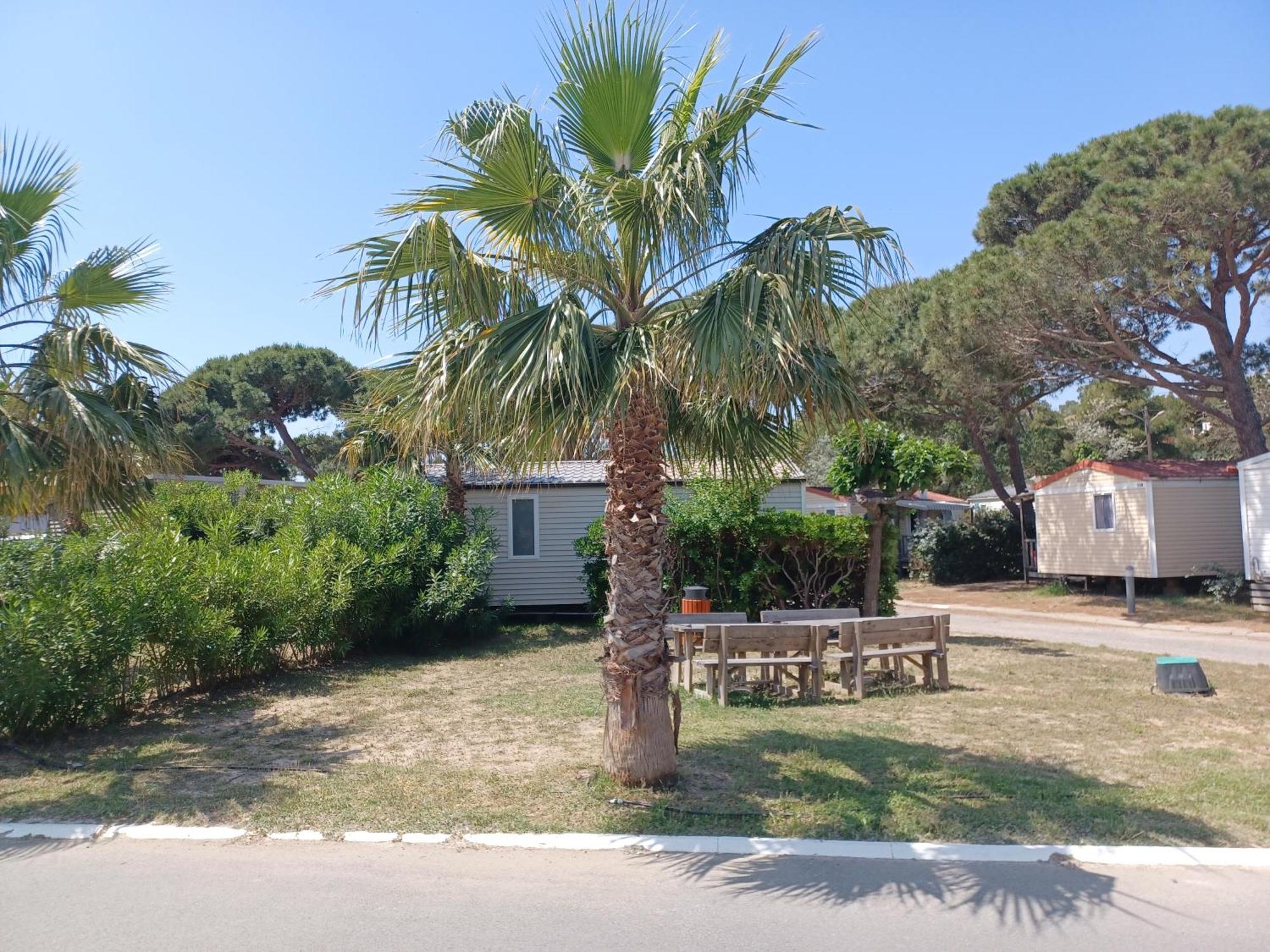 Mobil-Home Pour 6 Personnes นาร์บอนน์ ภายนอก รูปภาพ